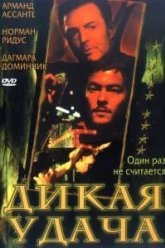 Дикая удача (2003)