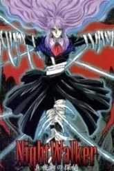 Ночной странник (1998)