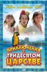 Приключения в Тридесятом царстве (2008)