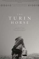 Туринская лошадь (2011)