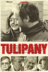 Тюльпаны (2004)