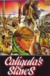 Рабы Калигулы (1984)