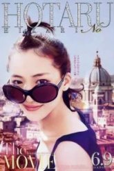 Мерцание светлячков (2012)