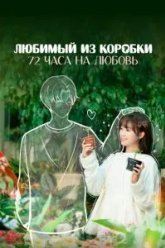 Любимый из коробки: 72 часа на любовь (2024)
