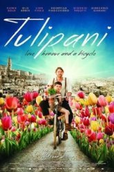 Тюльпаны: Любовь, честь и велосипед (2017)