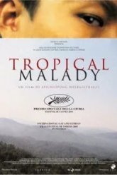 Тропическая болезнь (2004)