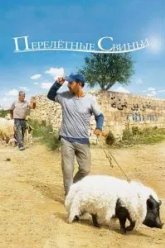 Перелетные свиньи (2011)