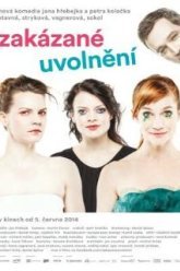 Запретное расслабление (2014)