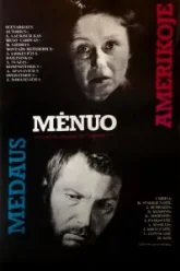 Медовый месяц в Америке (1981)