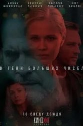 В тени больших чисел. По следу дождя (2024)