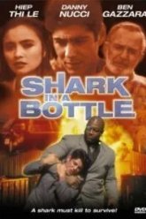 Акула в бутылке (1999)