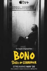 Bono: История примирения (2025)