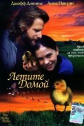 Летите домой (1996)