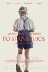 Босиком по стерне (2017)