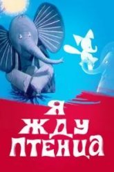 Я жду птенца (1966)