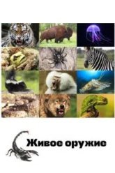 Живое оружие (2016)