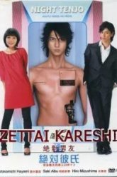 Идеальный парень (2008)