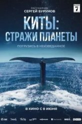 Киты: Стражи планеты (2023)