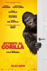 Attenti al gorilla (2019)