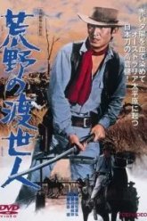 Странствующий мститель (1968)