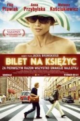 Билет в один конец на Луну (2013)