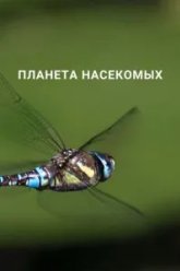 Планета насекомых (2022)