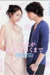 Любовь в радужном сиянии (2010)