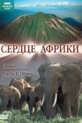 BBC: Сердце Африки (2010)