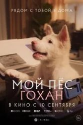 Мой пёс Гохан (2026)
