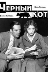 Черный кот (1934)