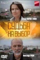 Судьба на выбор (2011)