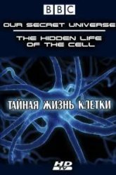 Внутренняя вселенная: Тайная жизнь клетки (2012)