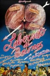 Лабиринт страстей (1982)
