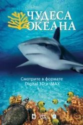 Чудеса океана 3D (2003)