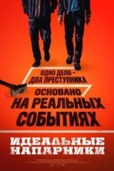 Идеальные напарники (2026)