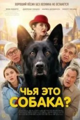 Чья это собака? (2025)