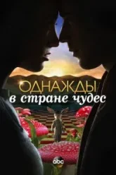 Однажды в стране чудес (2013)
