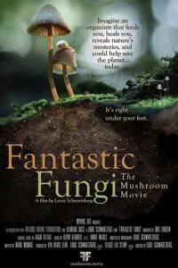 Фантастические грибы (2019)