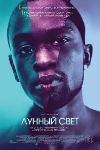 Лунный свет (2016)